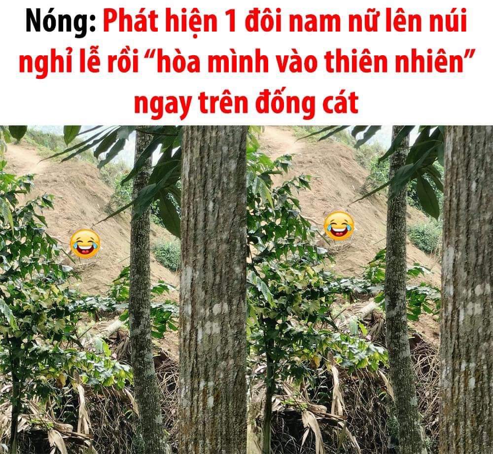 Cặp đôi địt nhau trên núi